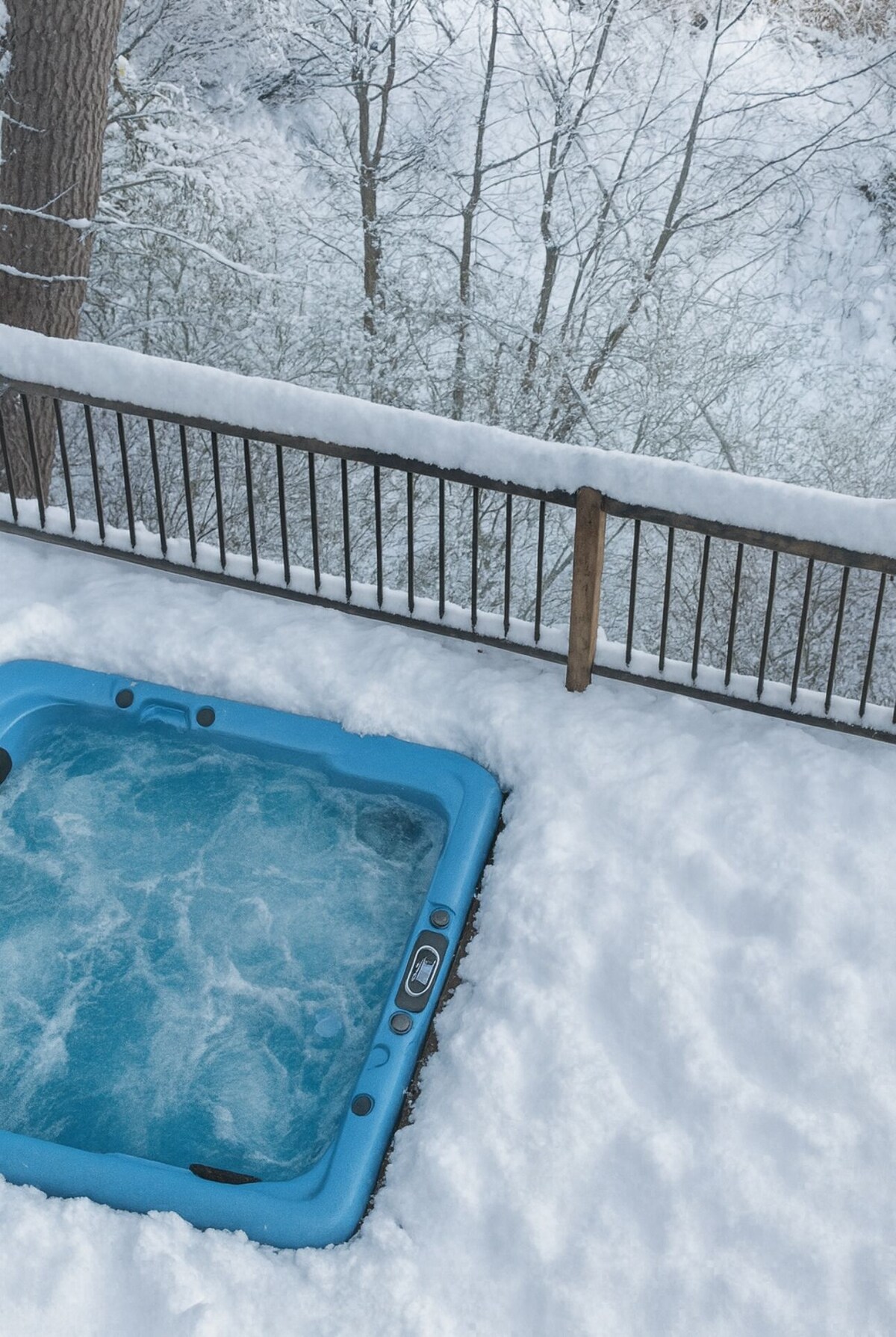 Imagen de perfil del propietario o de la propietaria