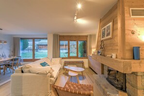 TV, fireplace, books