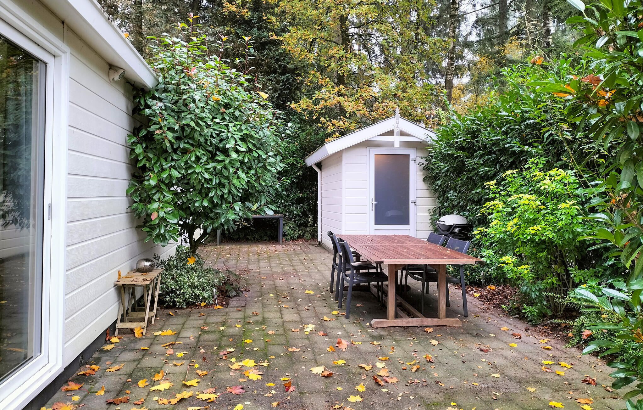 A patio with a table and chairs, surrounded by lush greenery and a small shed.