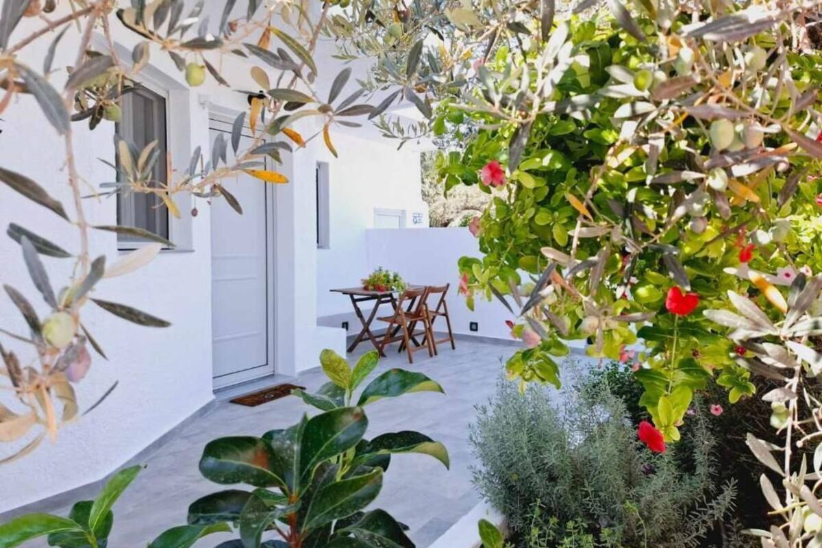 An outdoor patio area with a dining table and chairs, surrounded by various plants and shrubs.
