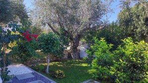 Un jardín con diversas plantas, un muro de piedra y una zona pavimentada.