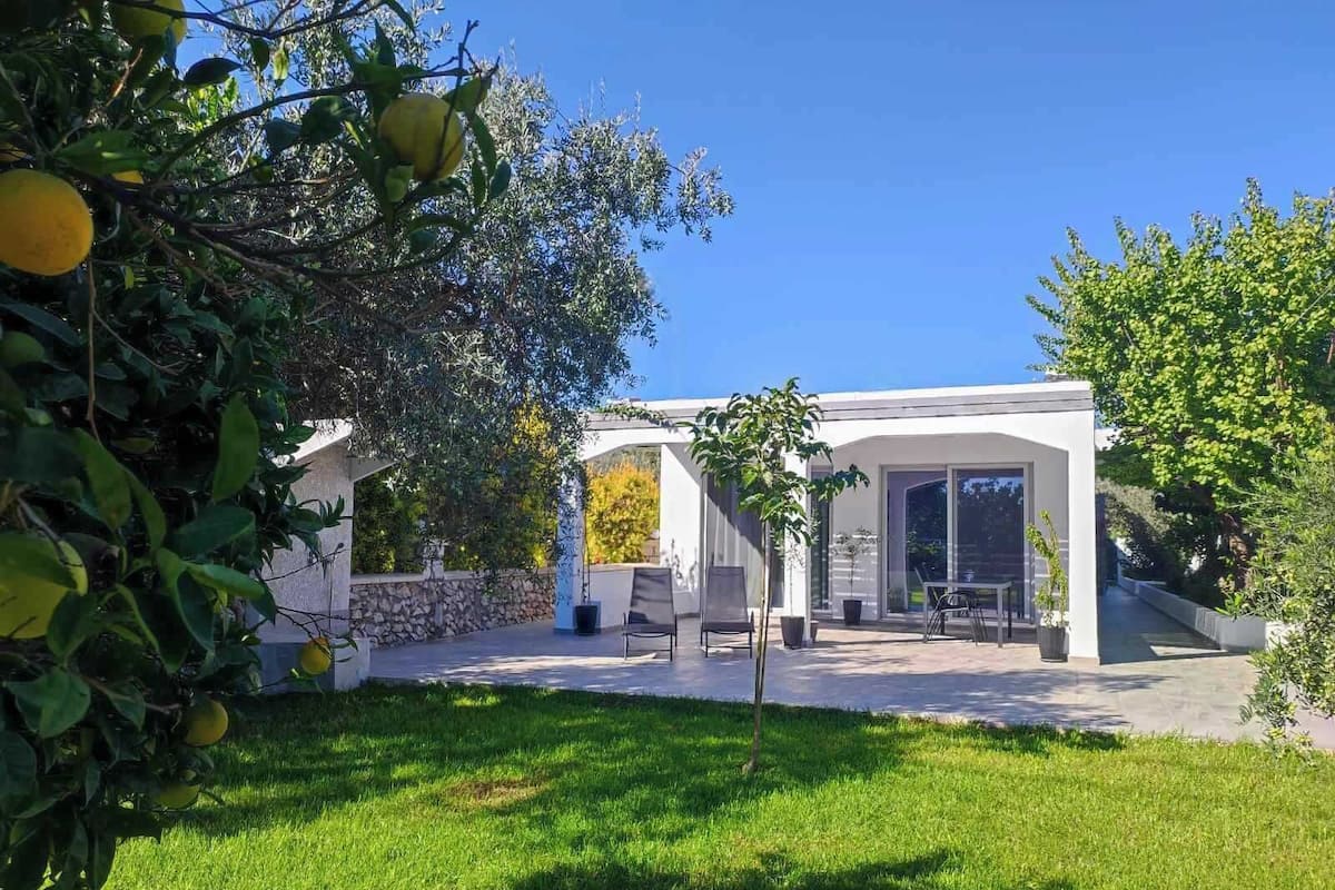 A modern house with a patio, a stone wall, and a garden with fruit trees.