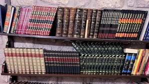 Ein Bücherregal mit verschiedenen Büchern, ein Holztisch und ein Stuhl.