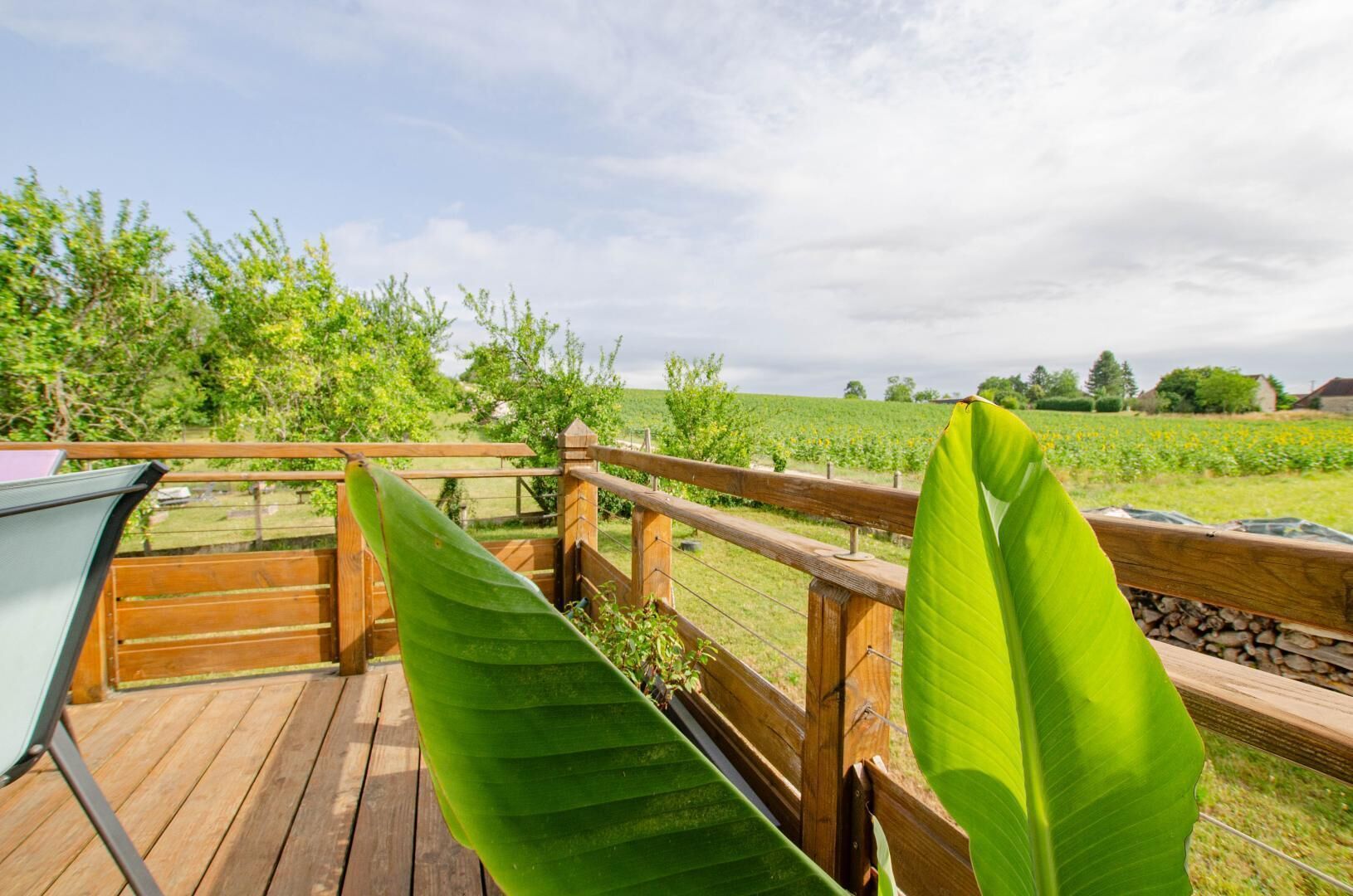 Jardines del alojamiento