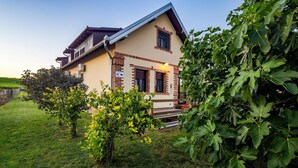 A two-story house with a sloped roof, a brick facade, and a small porch. - Gorgeous home in Karanac with sauna (Karanac)