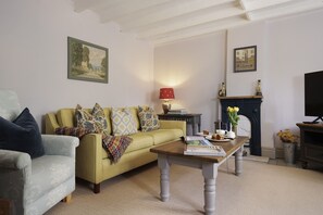 電視、壁爐、書籍