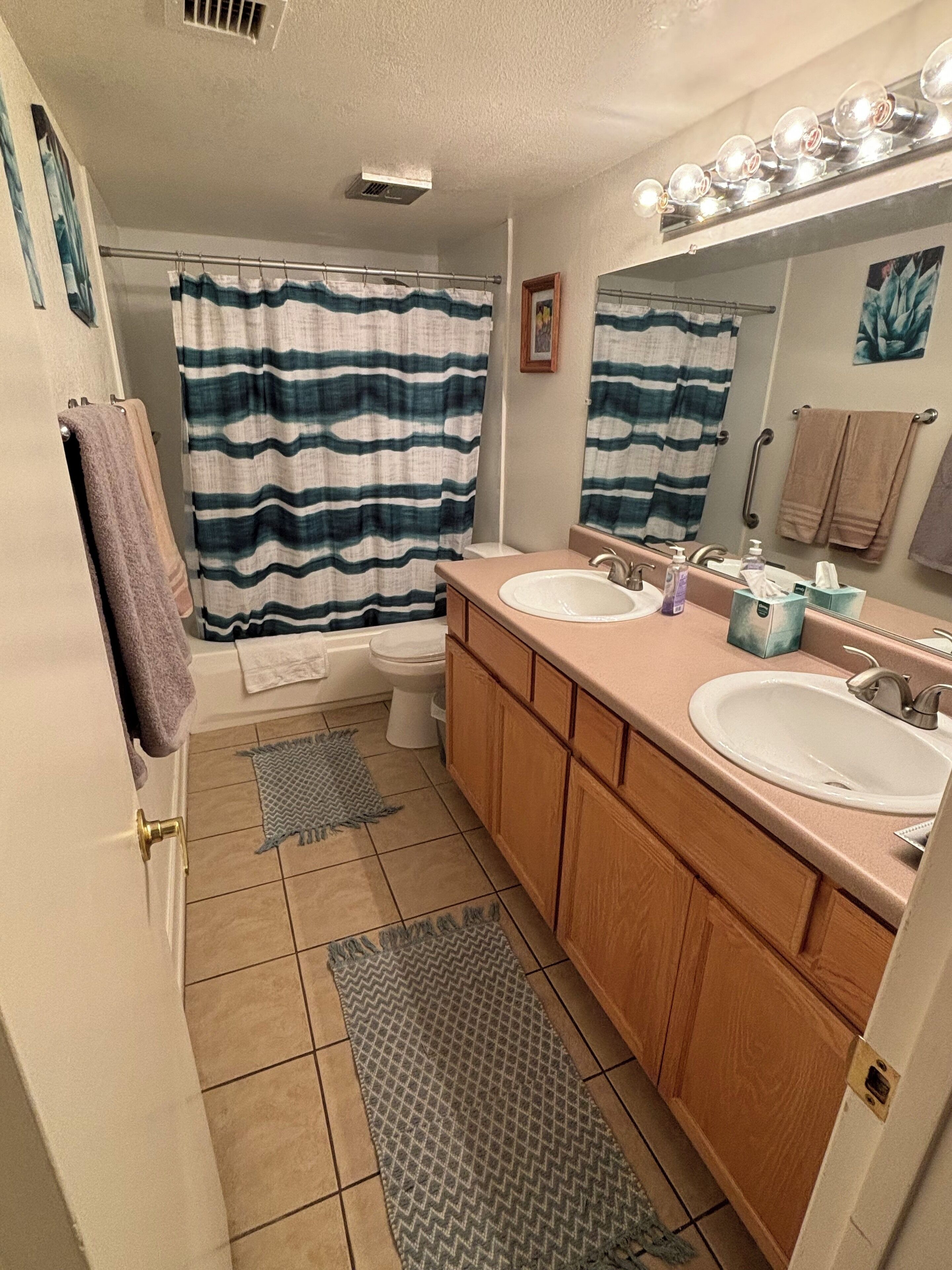 Hair dryer, towels, soap, toilet paper