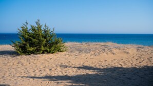 A sandy beach with a small green bush and a clear blue sky. - Your private couples haven in Corfu (Halikounas)