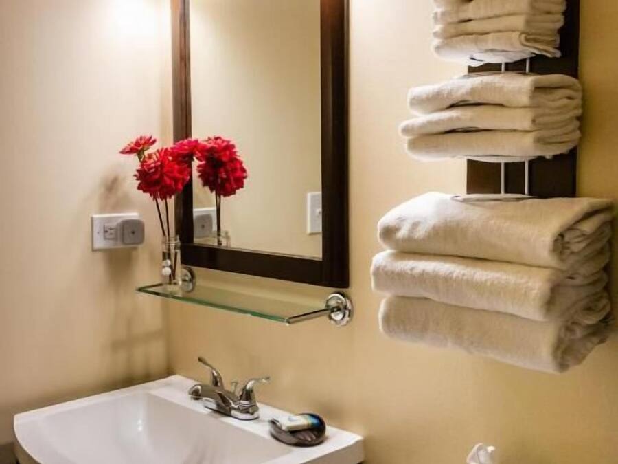 Un baño con un lavabo blanco, un espejo con tres luces, un perchero con toallas dobladas y un inodoro con un caja de pañuelos.