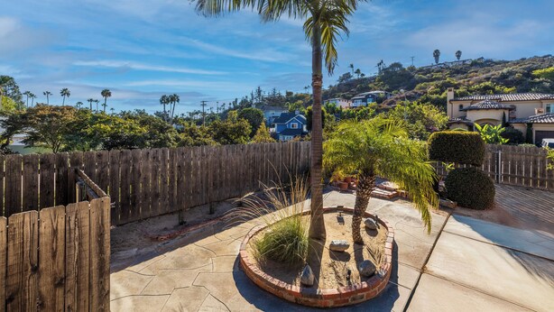 Un patio con una palmera, una valla de madera y vistas a casas al fondo.