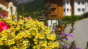 Un pueblo de montaña con flores de colores en primer plano, un balcón de madera y una vista de montañas al fondo.