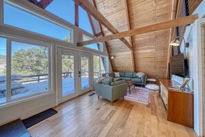 Smart TV, caminetto, libri, impianto stereo