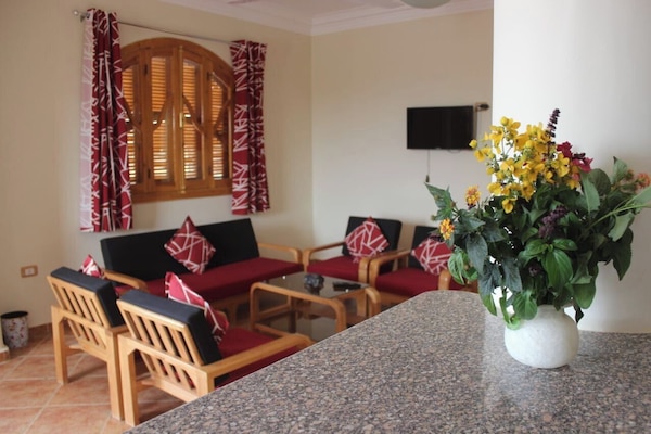 Smart TV de 50 pulgadas con canales digitales, bocina smart y oficina