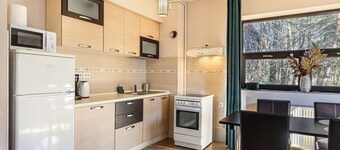 Ski View Apartment Predeal