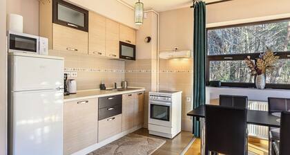 Ski View Apartment Predeal