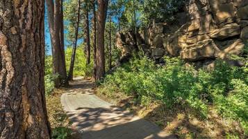 Overnatningsstedets område