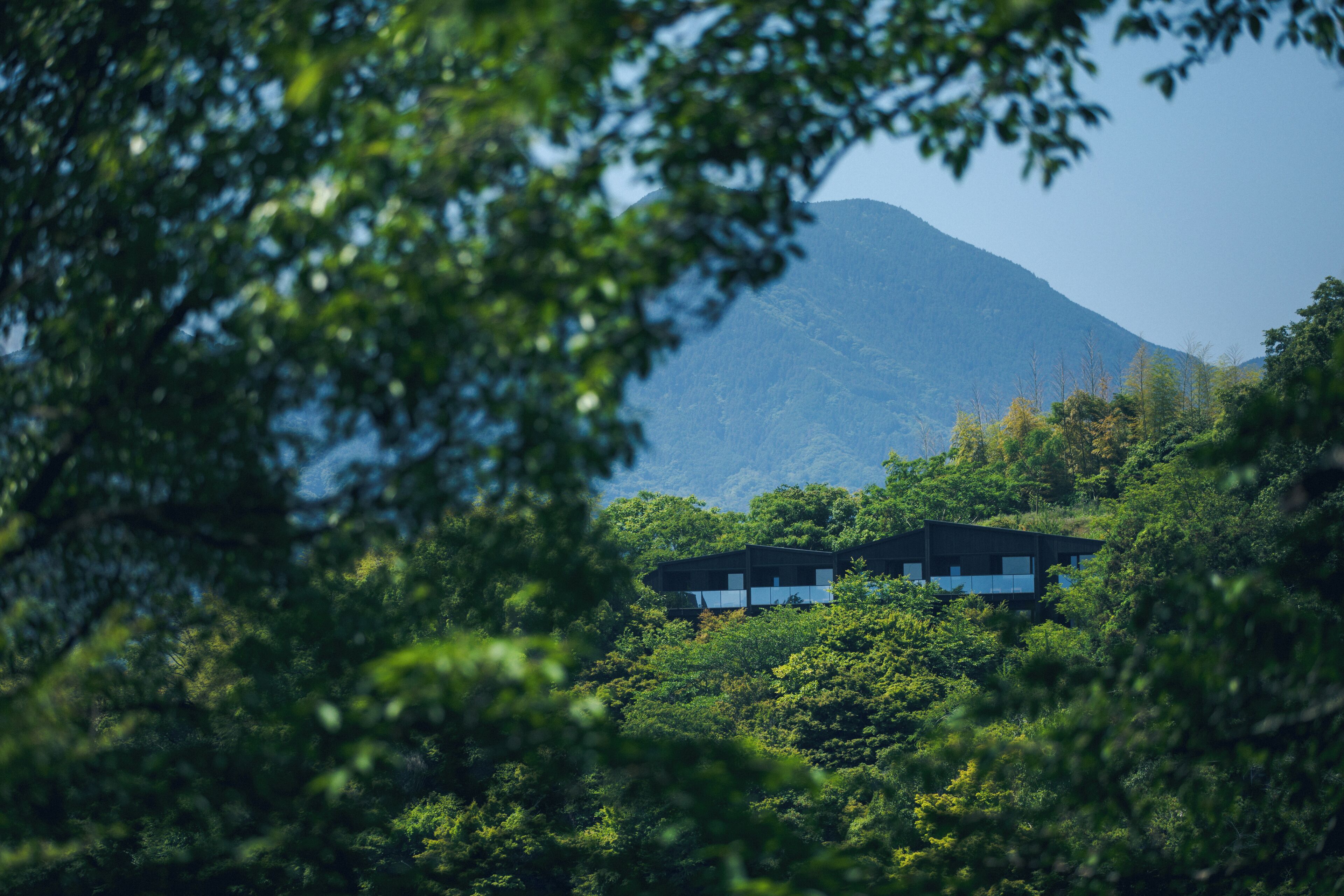 Un bâtiment moderne niché au milieu d’une végétation luxuriante, avec une montagne en toile de fond.