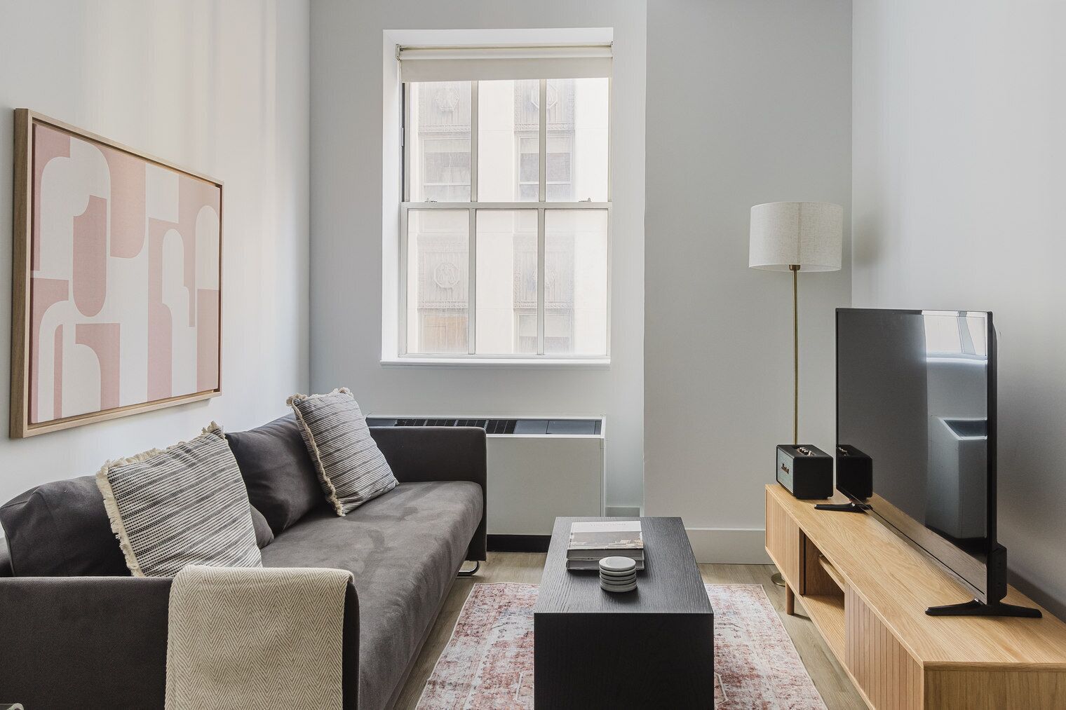 テレビ、ステレオ