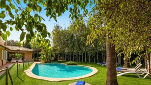 Una piscina rodeada de césped, con sillas de descanso y un árbol.