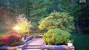 Un sendero de piedra que lleva a un jardín con diversas plantas y un pequeño estanque.