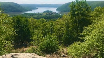 A natural landscape with a lake, forested hills, and a rocky foreground.