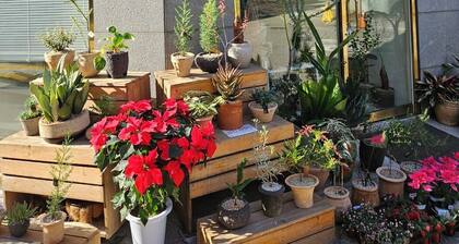 #Hongdae EXIT2#DELUXE APT#New Building#Luggage storage#Parking