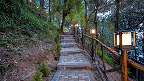 A stone staircase with a wooden railing and lanterns, surrounded by trees. - The Whispering Oaks (Nainital)
