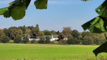 A large, open field with a white building surrounded by trees.