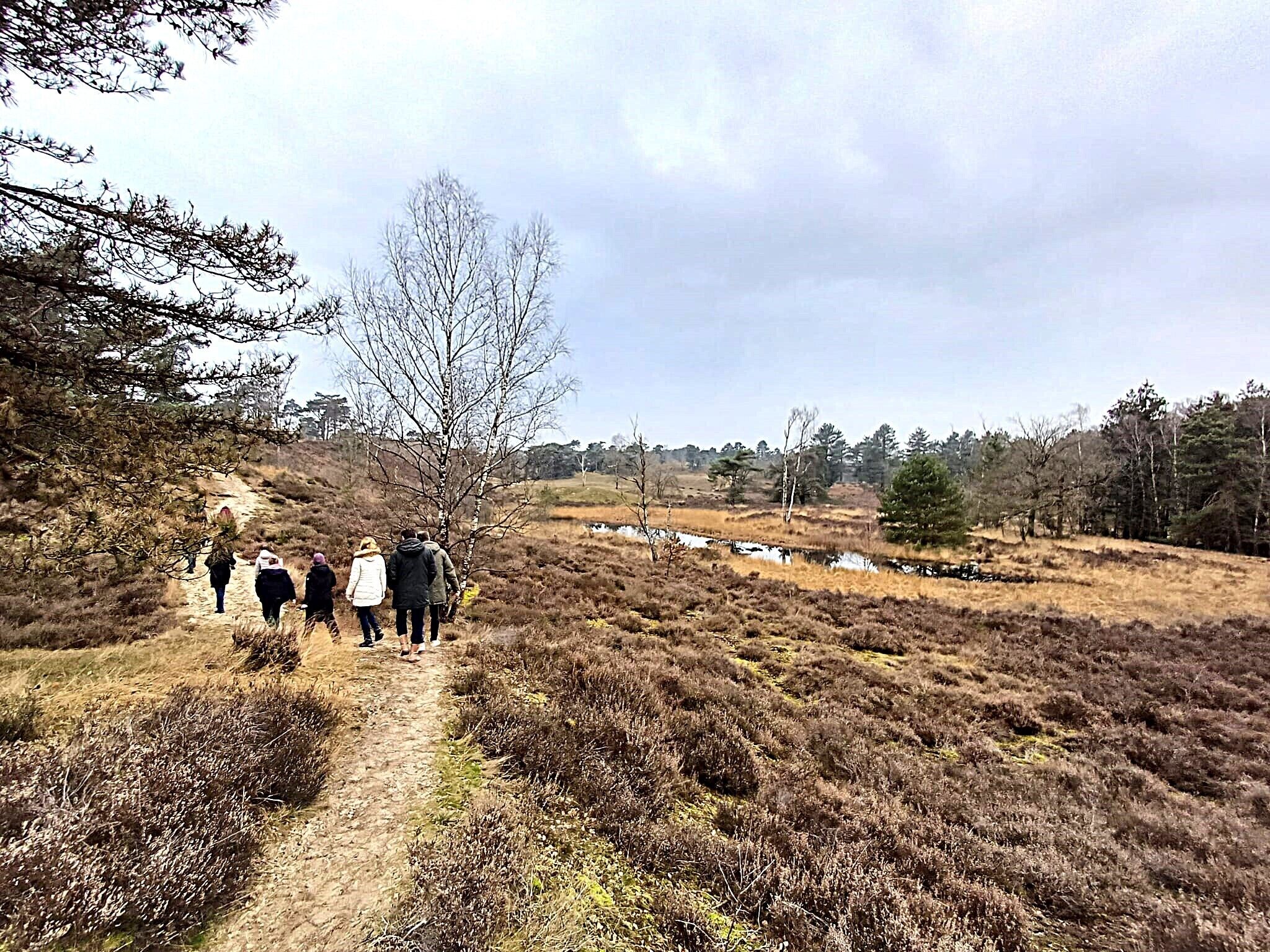 A group of people walking on a dirt path through a natural landscape with sparse vegetation and a few trees.