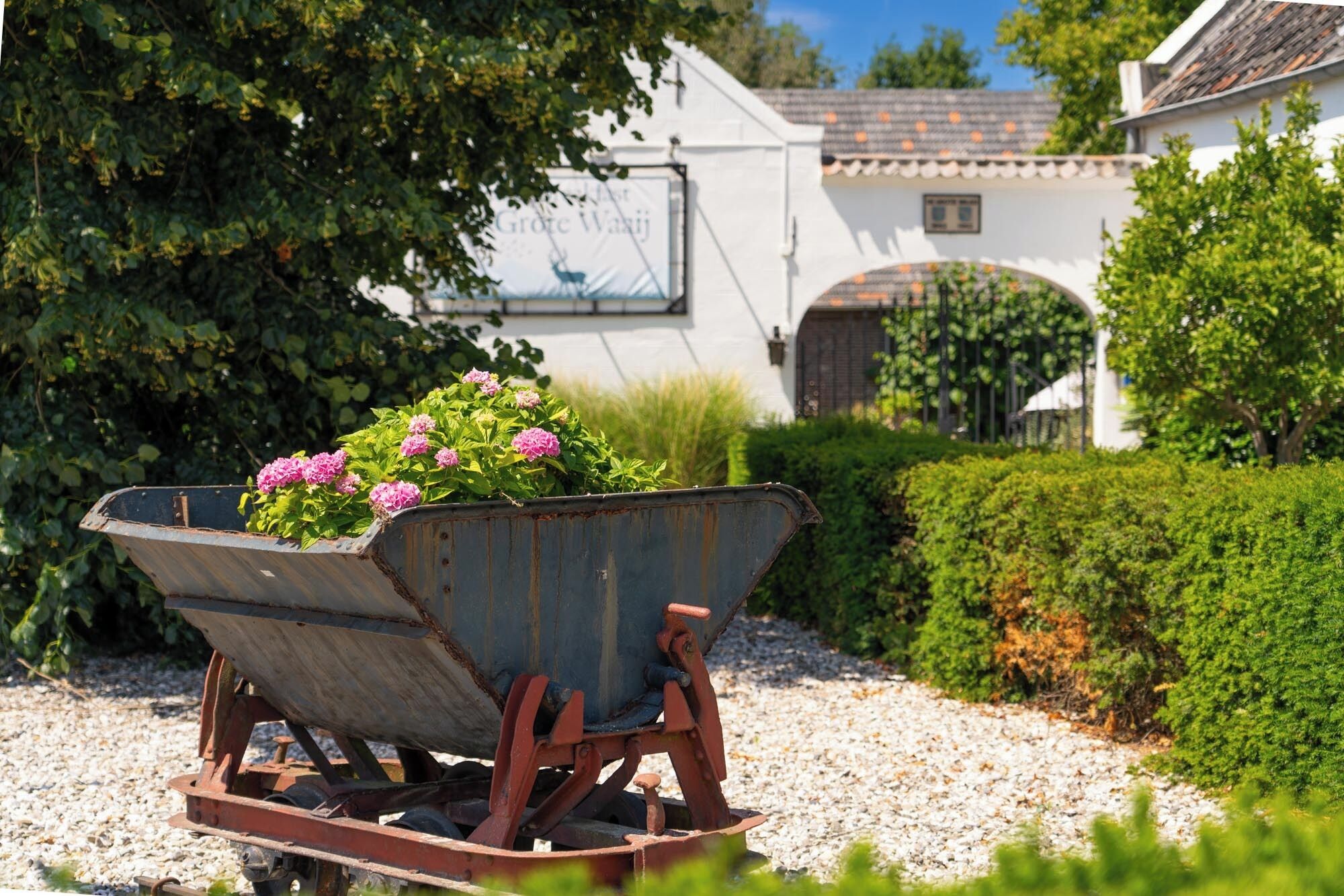 A vintage wheelbarrow with flowers in a garden area.