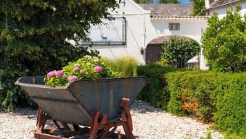 A vintage wheelbarrow with flowers in a garden area.