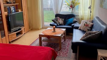 Télévision, lecteur de DVD, table de tennis de table