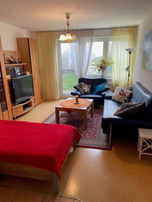 TV, DVD player, table tennis