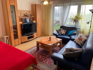 电视、DVD 播放器、乒乓球