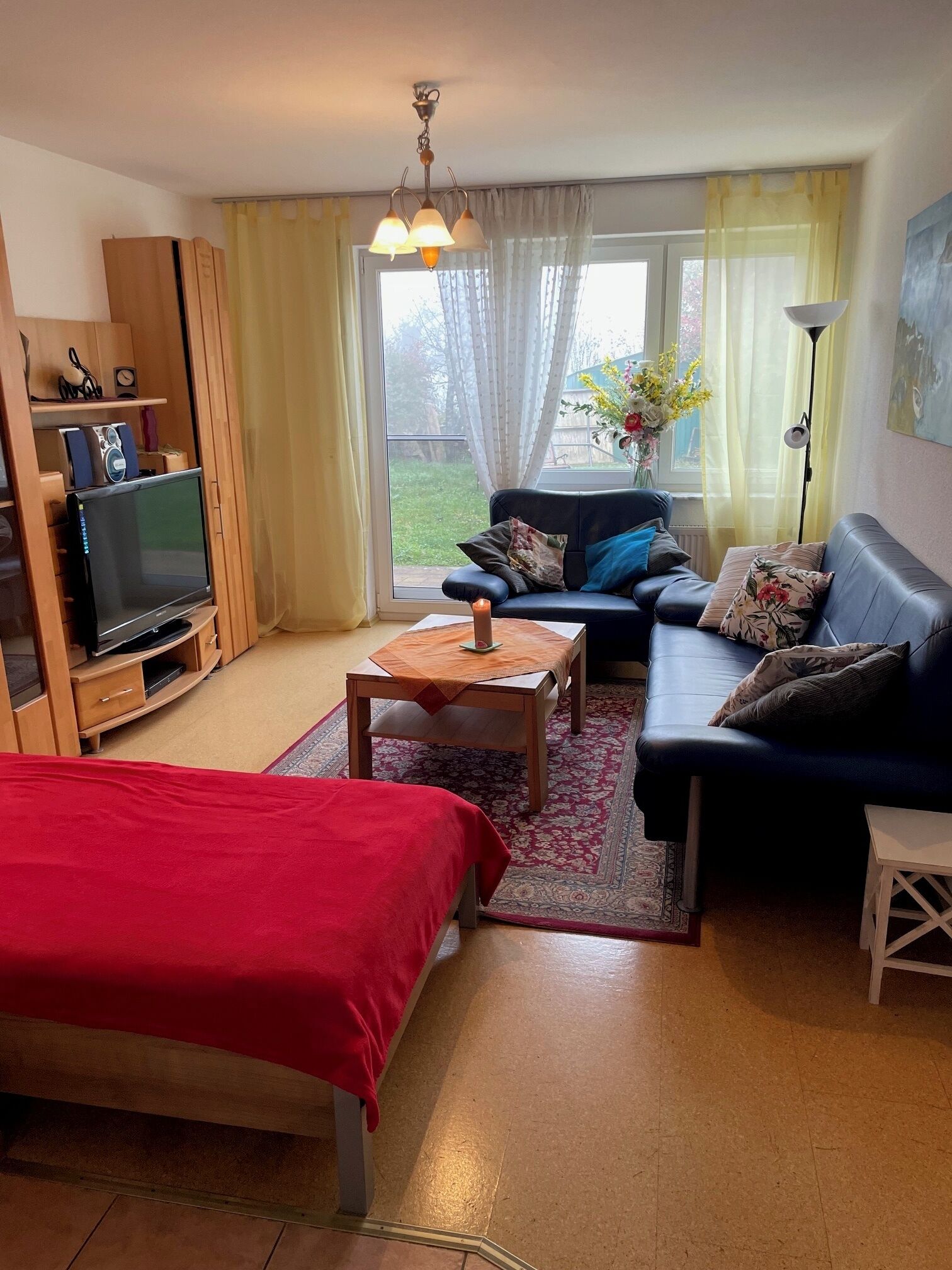 TV, DVD player, ping pong