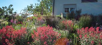 Apartment 'Ferienwohung Traumgarten' with Private Terrace, Private Garden and Wi-Fi