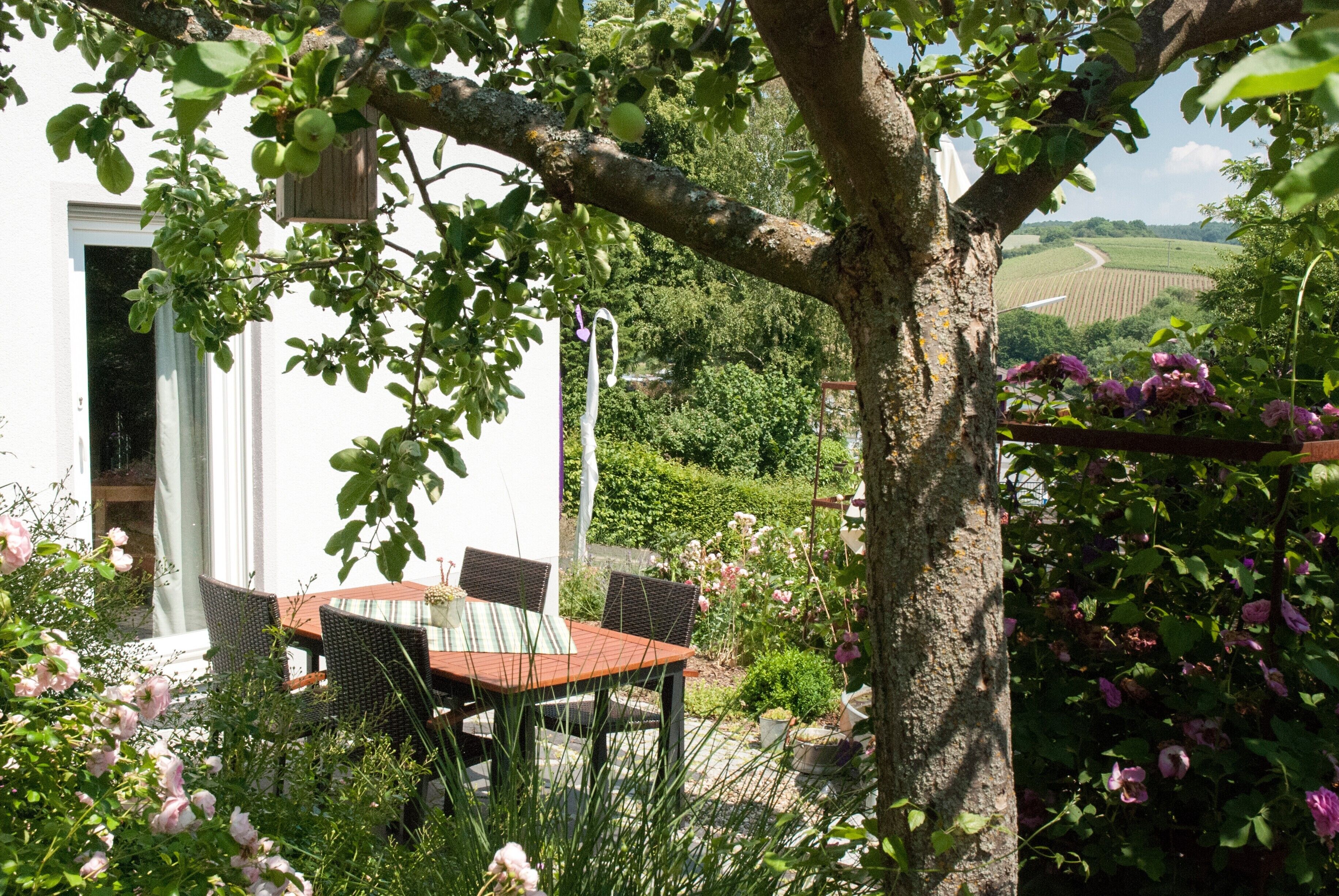 Ein Essbereich im Freien mit Tisch und Stühlen, umgeben von Pflanzen und einem Baum.