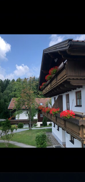 Esterni