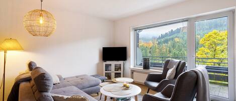 テレビ、DVD プレーヤー、ステレオ