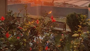 Ein Sonnenuntergangsblick von einem Balkon mit einem Garten im Vordergrund.