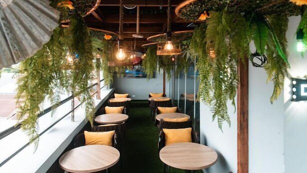 Un ristorante con tavoli e sedie rotonde, piante verdi appese al soffitto e vista sulla strada.
