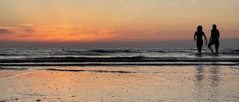 Playa