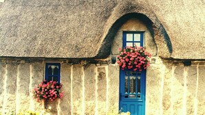 A traditional thatched-roof building with a blue door and windows, and flower boxes on the windowsills. - -HANSEL- Belle Chaumière à Kerascöet (Névez)