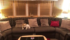 Cabin | Living area - Lodgesleeps3-garden-balcony-parking-valleyview (Newton Stewart)