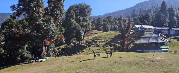 View from property - Chopta Hilltop Camps (Ukhimath)