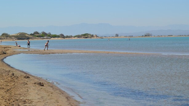 A beach with a clear sky and calm water. - House in Riumar: Family Charm with Private Pool (Deltebre)