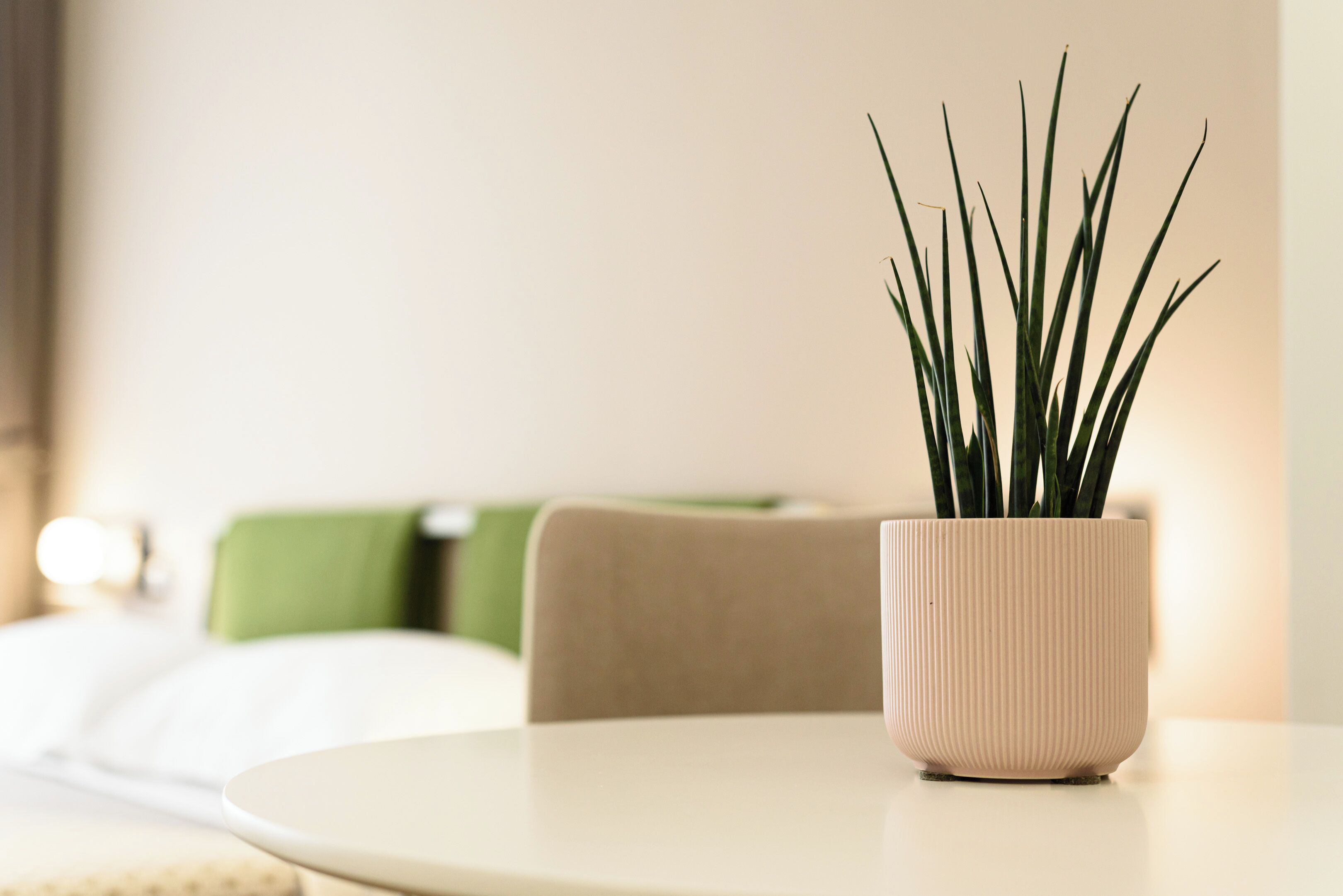 Une table ronde sur laquelle est posée une plante en pot, ce dernier étant de forme cannelée.
