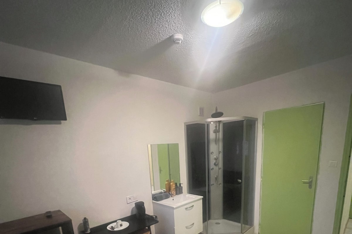 Une chambre à coucher comprenant un lit, un bureau, un miroir, une armoire et une douche.