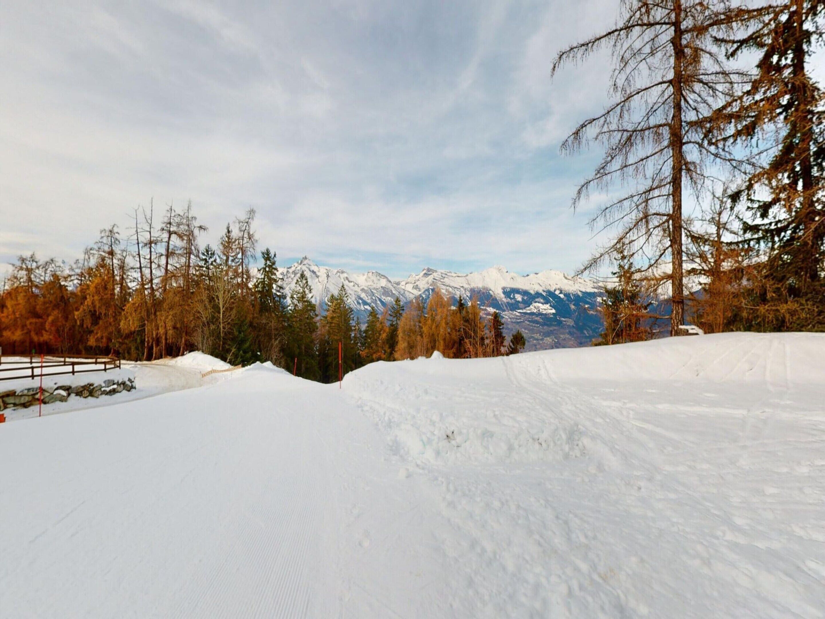 A snowy landscape with a wooden fence, trees, and a mountain range in the background.