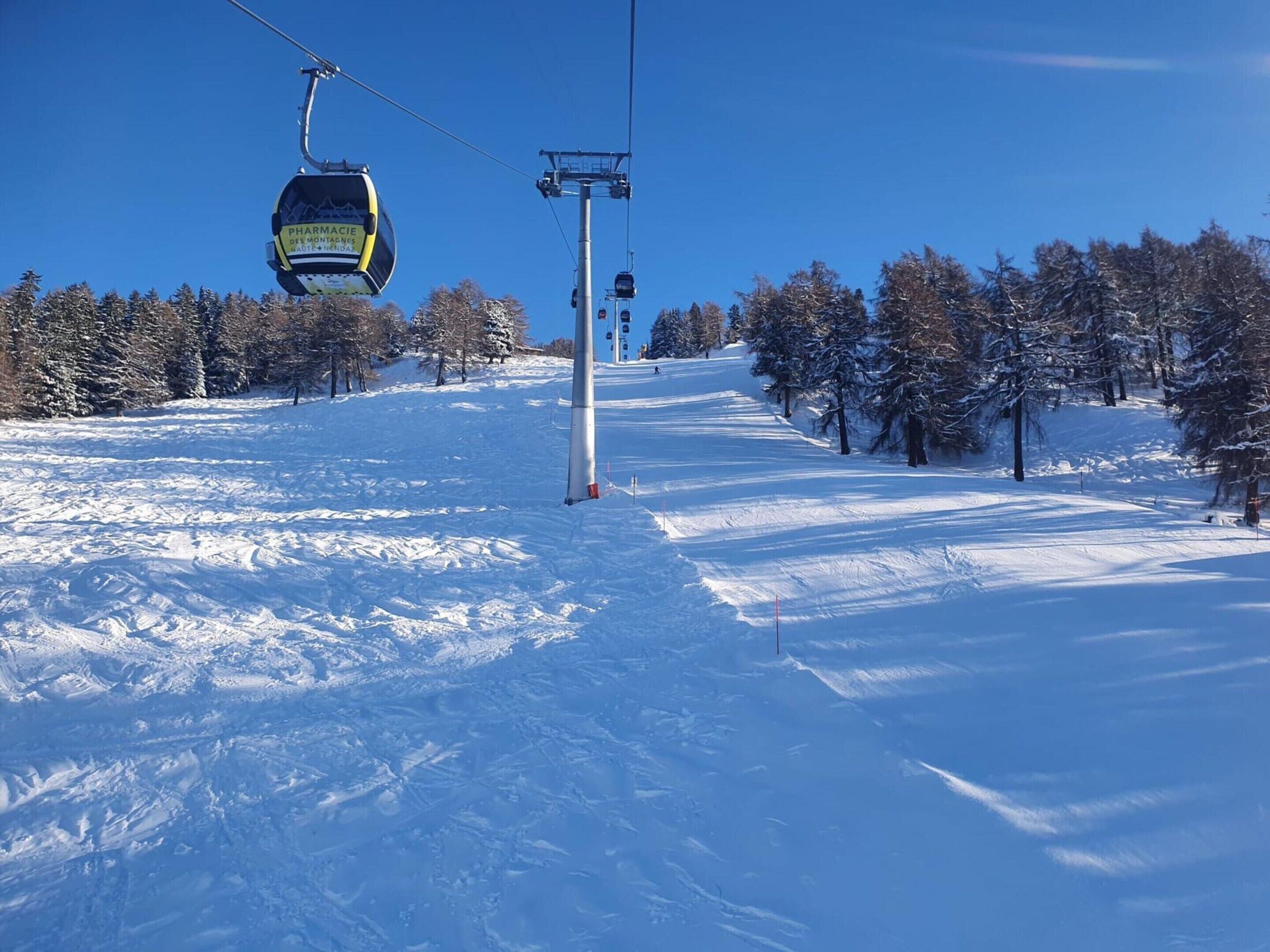 En skiliftstol hænger over et snækkedækket skråbjerg med træer i baggrunden.